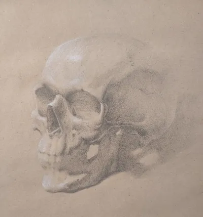 Fading Skull