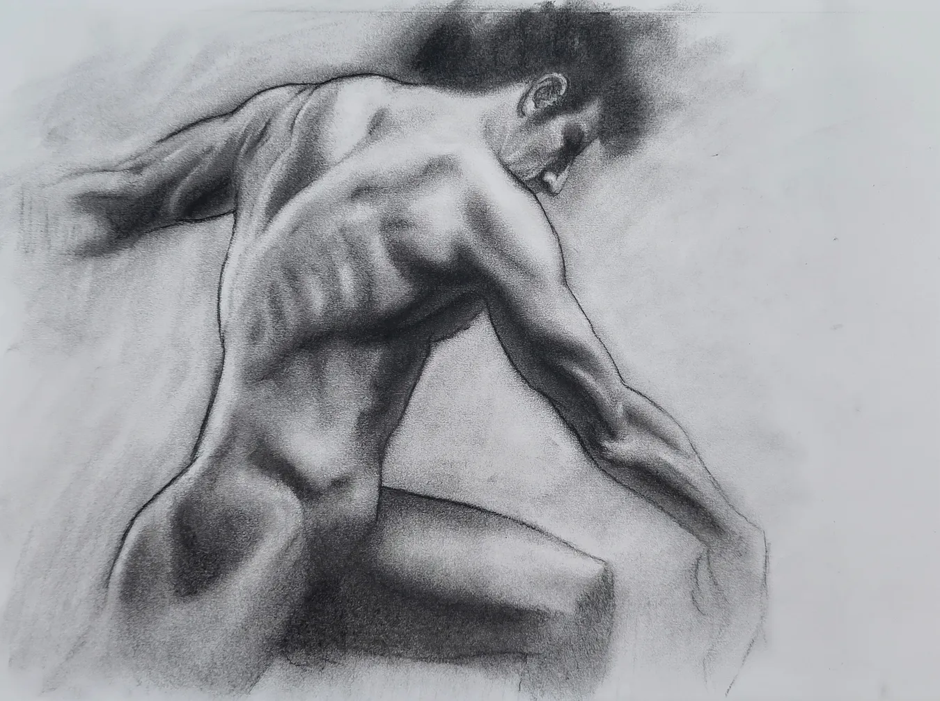 Male Study